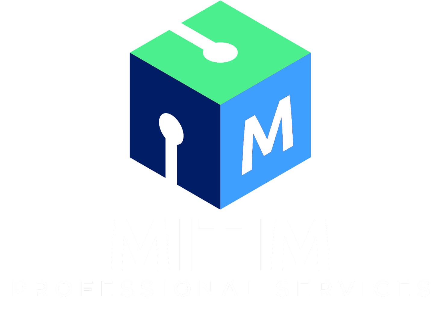 MITIM Professional Services